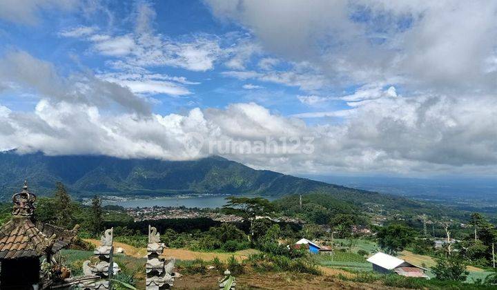 Dijual Tanah Murah Bedugul Bali View Danau Dan Alam Yang Indah 2