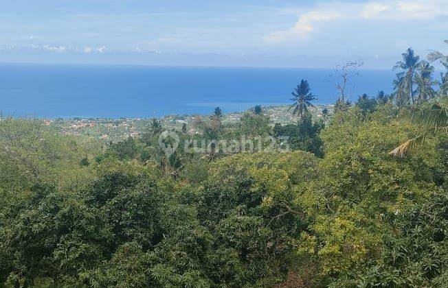 Dijual Tanah Full View Laut Lovina Bali Harga Super Murah 2