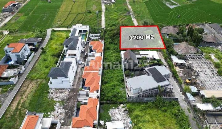 Dijual Tanah Murah Umalas Bumbak Kerobokan Harga bisa Nego