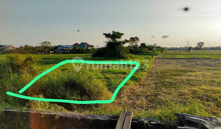 Dijual Tanah Sanur Tungak Bingin Harga Global Bisa Nego