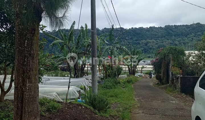 For Sale Small Plot Land Bedugul Bali Price Negotiable