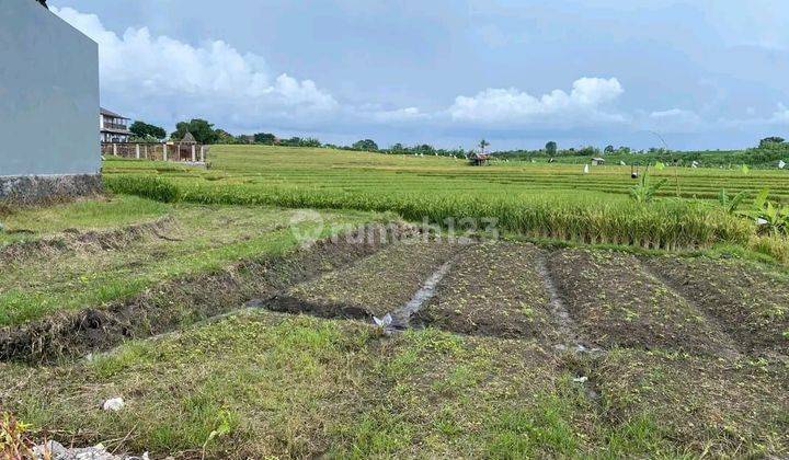 For Sale Small Plot Land Tumbakbayuh Pererenan Bali Price Negotiable 1