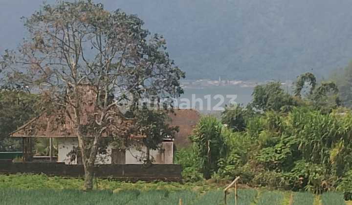Dijual Tanah Murah Bedugul Dekat Bloom Garden Harga Murah