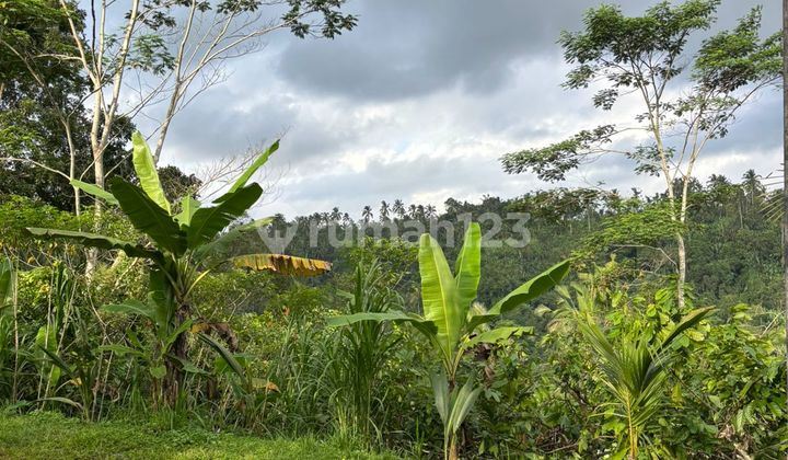 Dijual Tanah Murah Payangan Ubud Harga Bisa Nego 2