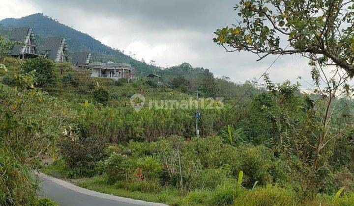 For Sale Cheap Land In Munduk Buleleng Bali Full View 1