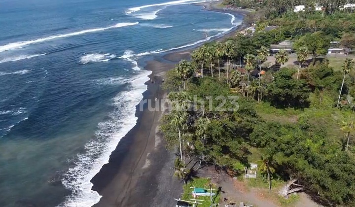 Dijual Tanah Pantai Saba Gianyar Jalan Kaki Ke Pantai Harga Nego Dijual Tanah Pantai Saba Gianyar Jalan Kaki Ke Pantai Harga Nego