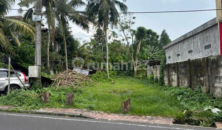 Dijual Tanah Ubud Jalan Utama Kedewatan Harga Super.murah