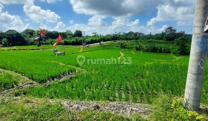 Dijual Tanah Luasan Kecil Dilingkungan Perumahan Dengan View Sawah Di Sempidi Badung Bali 2