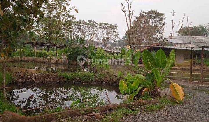 Tanah Luas 6000 M2 Lokasi Strategis Cocok Untuk Perumahan di Daerah Jonggol 2