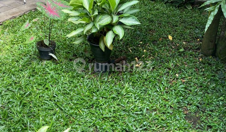 Selangkah Mainroad Padjajaran Murah Strategis Jarang Ada 2