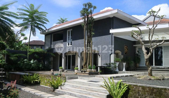 Rumah Lux Murah Kawasan Asri Setiabudi Sangat Nyaman Lingkungan Asri