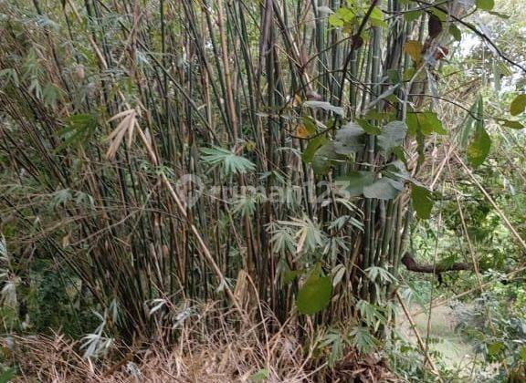 Kavling di Lombok Dekat Pantai Luas 15.675 m² 2