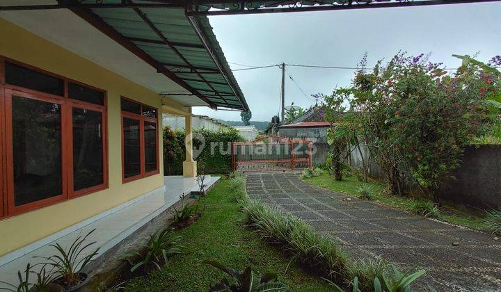 DIJUAL VILLA NYAMAN DAN ASRI  DI BEDUGUL  5