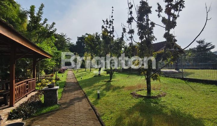 DIJUAL TANAH LUAS BONUS RUSA LOKASI WEDOMARTANI NGEMPLAK SLEMAN YOGYAKARTA