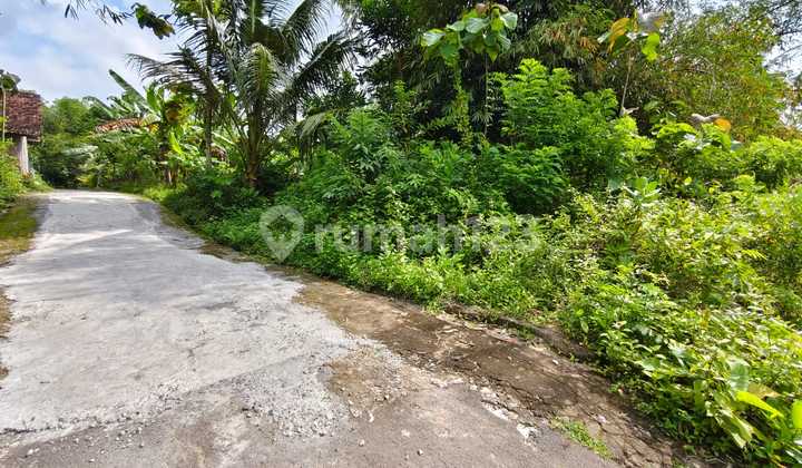 Tanah Pekarangan Siap Bangun Dekat Tol Gamping Sleman Yogyakarta Tanah Pekarangan Siap Bangun Dekat Tol Gamping Sleman Yogyakarta