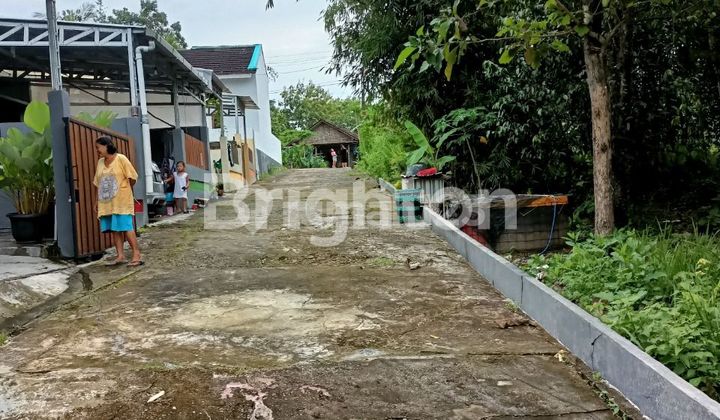 TANAH KAVLING SIAP BANGUN DEKAT PERUM  JATI SAWIT BALECATUR SLEMAN YOGYAKARTA