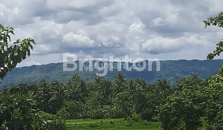 RUMAH JOGLO VIEW BUKIT PATALAN BANTUL JOGJAKARTA ISTIMEWA 2