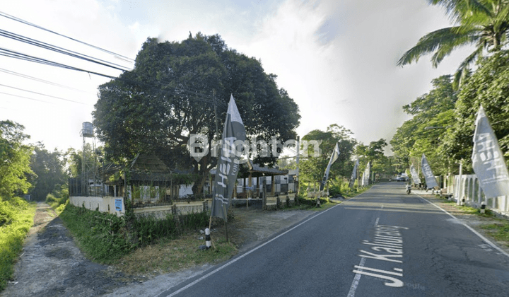 TANAH PEKARANGAN PINGGIR JALAN SEBERANG HEHA FOREST JALAN KALIURANG PAKEM JOGJA YOGYAKARTA 1