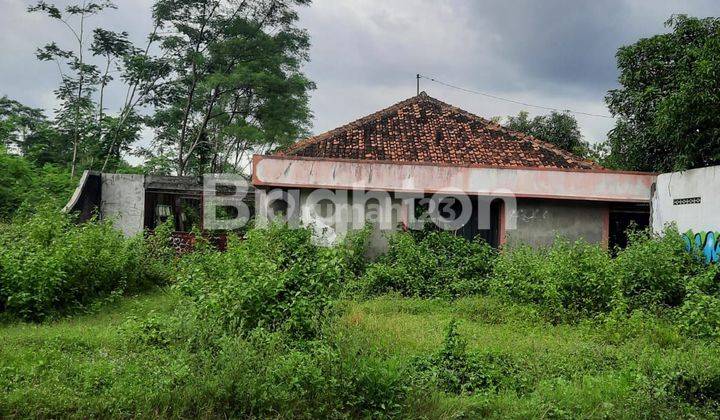 TANAH PINGGIR JALAN DI TIRTOMARTANI SLEMAN 1