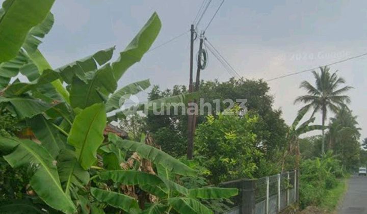 Dijual Tanah Sawah Bonus Bangunan Lokasi Donokerto Turi Sleman Yogyakarta
