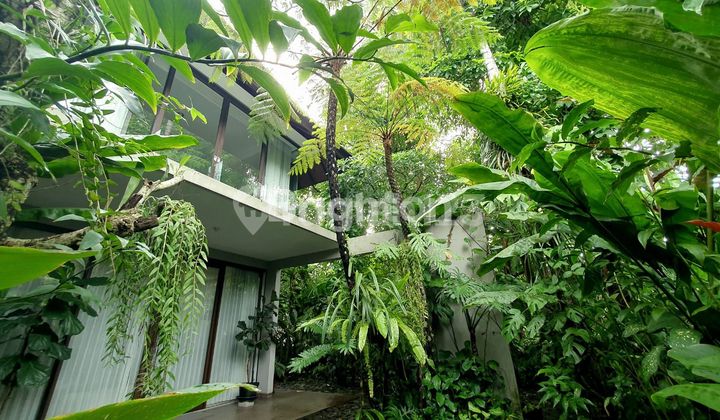 RUMAH MEWAH FULLY FURNISHED Di PALAGAN SARIHARJO MONJALI NGAGLIK SLEMAN DAERAH ISTIMEWA YOGYAKARTA