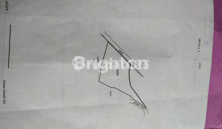 DIJUAL TANAH LUAS LOKASI MUTHILAN MAGELANG JAWA TENGAH