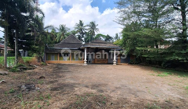 Dijual Tanah Luas Plus Ada Bangunan Tua Lokasi Jl Magelang Km 22 Salam Magelang Yogyakarta Tanah Di Jumoyo, Jl. Magelang-yogyakarta No. 21, Jumoyo, Salam, Magelang, Jawa Tengah, Indonesia, 56484, Salam