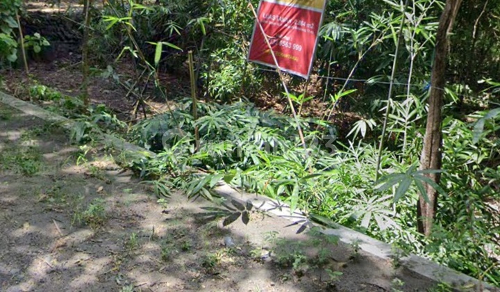 Tanah Luas Siap Bangun Cocok untuk Villa atau Bisnis Pariwisata Lokasi Pajangan Bantul Yogyakarta