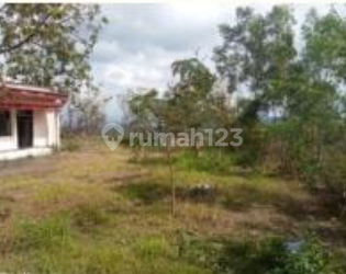 Di Jual Tanah Luas Murah Dan Strategis Lokasi Daerah Desa Sepat Ngoro-oro Patuk Gunungkidul