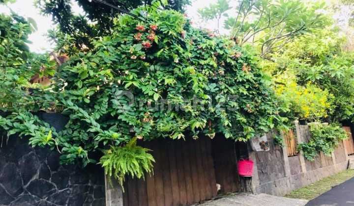 Nice house in Bintaro, South Jakarta 2