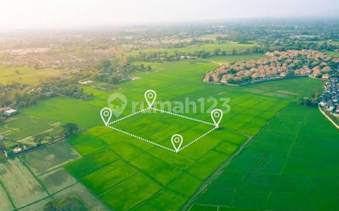 Disewakan Kavling Komsersil Sudirman 1999m2 & 2031m2 Pantai Indah Kapuk 2 Tangerang Banten 2