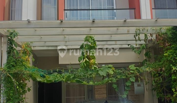 For Rent Stage 2 Boulevard Semi-Furnished 4.5X15 PIK2 House 1