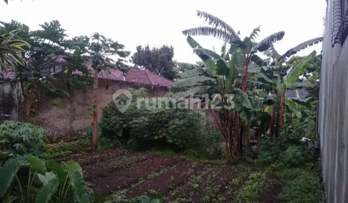 Tanah Matang Geger Kalong Bandung Lokasi Strategis 1