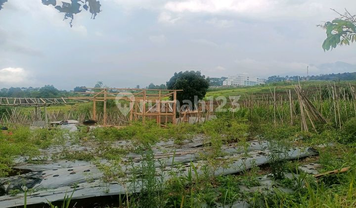 Dijual Murah Tanah Akses Mobil Lokasi Belakang Kanyor Bupati Kbb