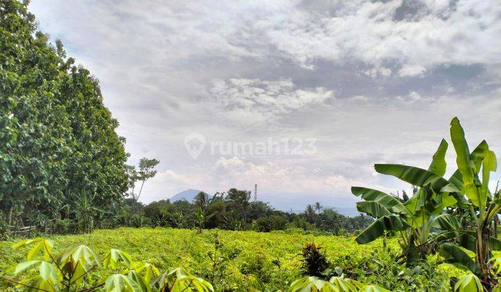 Dijual Tanah Kebun 500 Meter Persegi Desa Cadas Ngampar Sukaraja Kabupaten Bogor 4