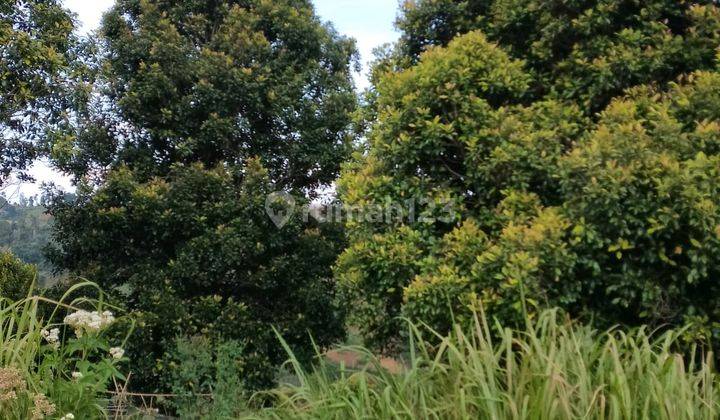 Tanah di Kec. Ngamprah cisarua  SHM 2662² 1