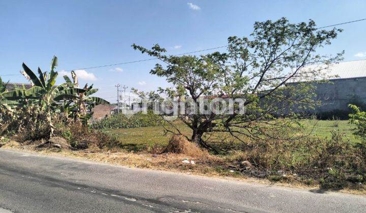 Land for Warehouse in Parangjoro