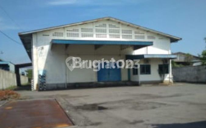 GUDANG MOJO ZONA MERAH