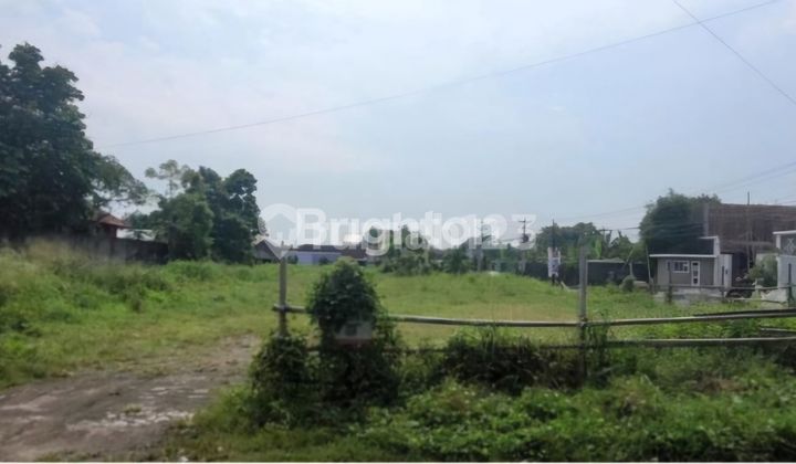 Tanah Solo Tanah Solo