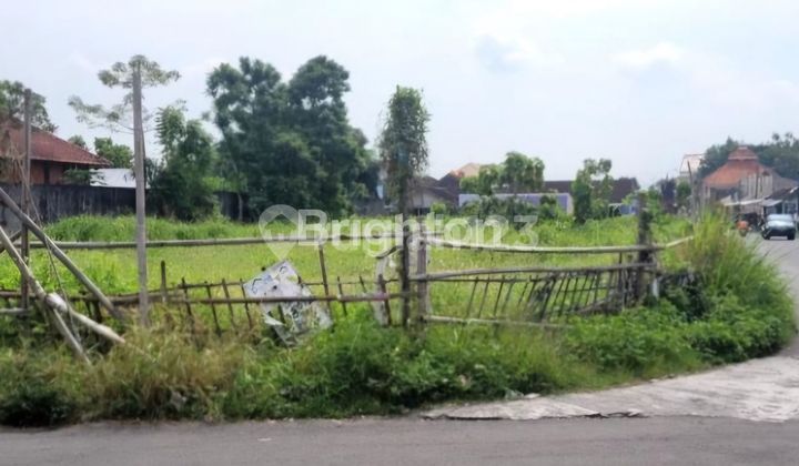 Tanah Solo Tanah Solo