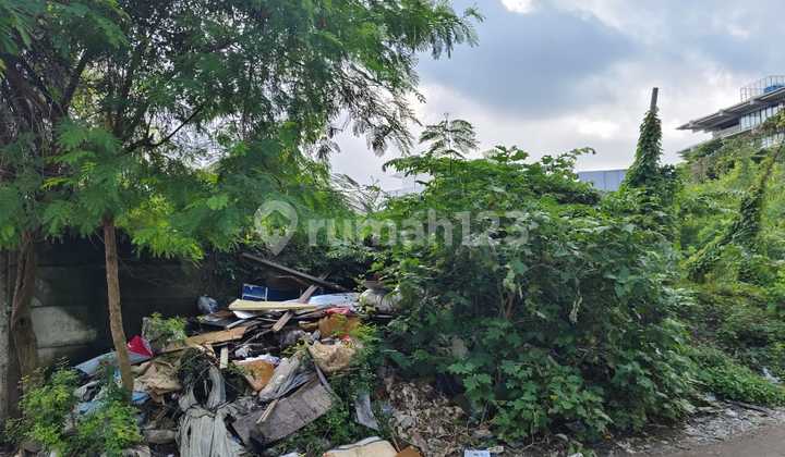 Crocodile Swamp Land Cengkareng LT 1704 Jakarta