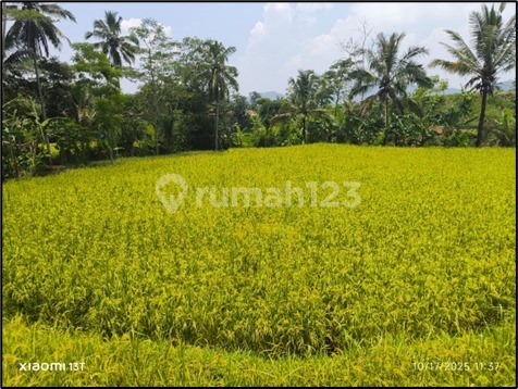 Tanah, Sawah Bandung Barat Murah LT 1414