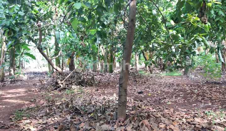 Tanah lokasi strategis di cikunir bekasi selatan 4