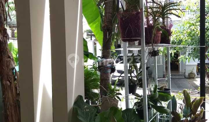 Dijual Rumah Makassar Town House Dijual Rumah Makassar Town House