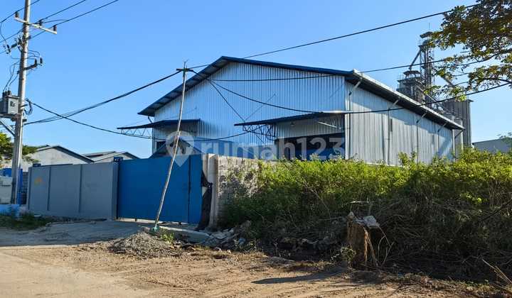 For Sale Patene88 Warehouse Warehouse For Sale Patene88 Warehouse Warehouse