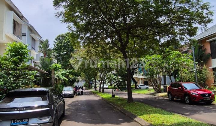 Disewakan Rumah Sutera Palmyra - Alam Sutera 2