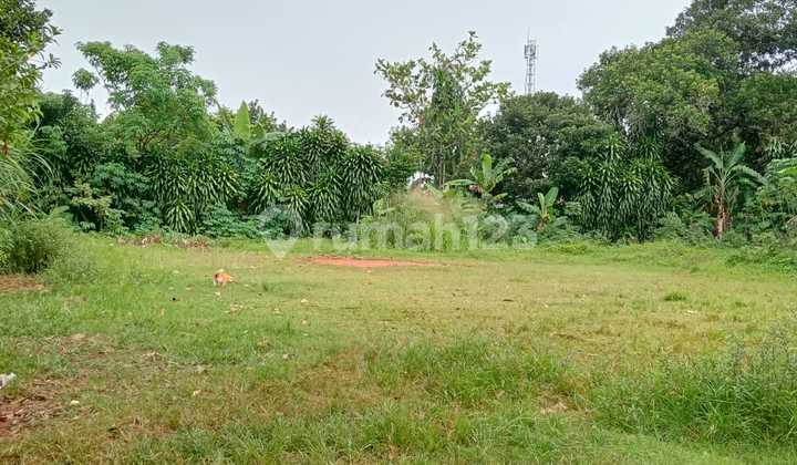 Dijual Kavling Tanah Strategis Luas di Parung Bogor