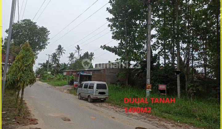 Tanah Luas Dan Strategis di Lampung 1 2
