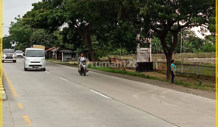 Tanah Luas Di Jalan Raya Pantura 7