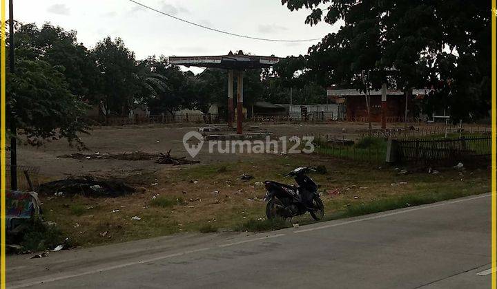 Tanah Luas Di Jalan Raya Pantura 8